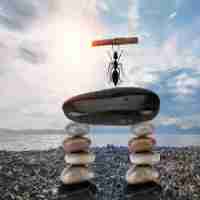 快​速‍seo排​名​